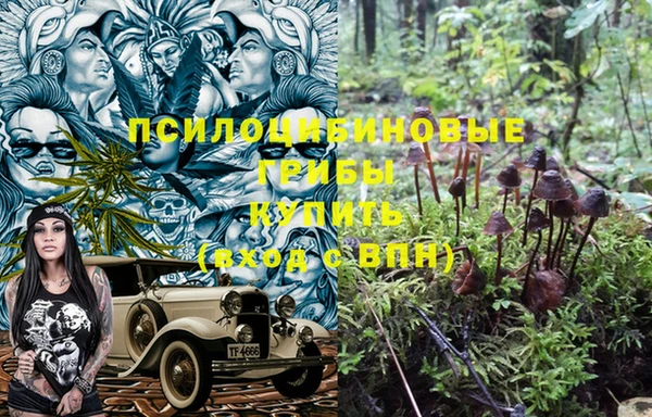 герыч Коряжма