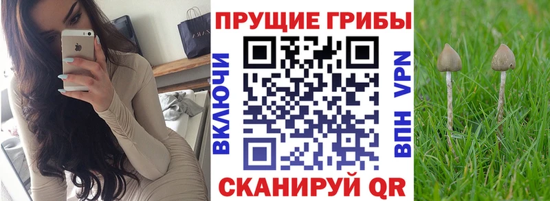 Галлюциногенные грибы MAGIC MUSHROOMS  Киржач 