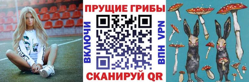 Псилоцибиновые грибы GOLDEN TEACHER Киржач